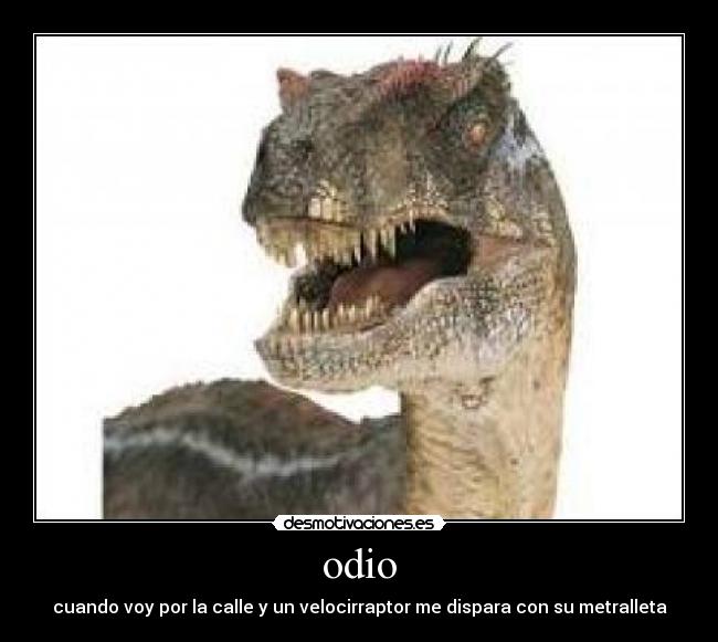 odio -