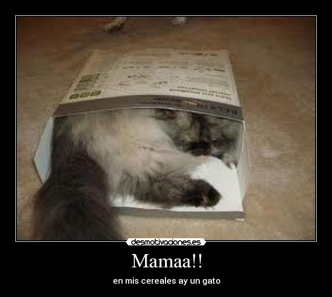 Mamaa!! - 