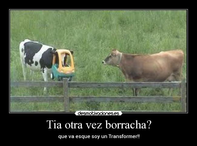 Tia otra vez borracha? -