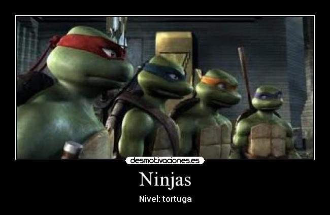Ninjas -