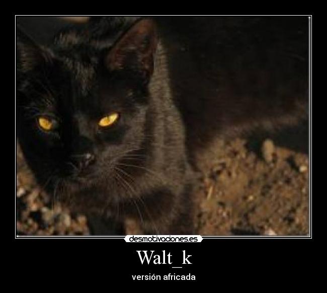 Walt_k -