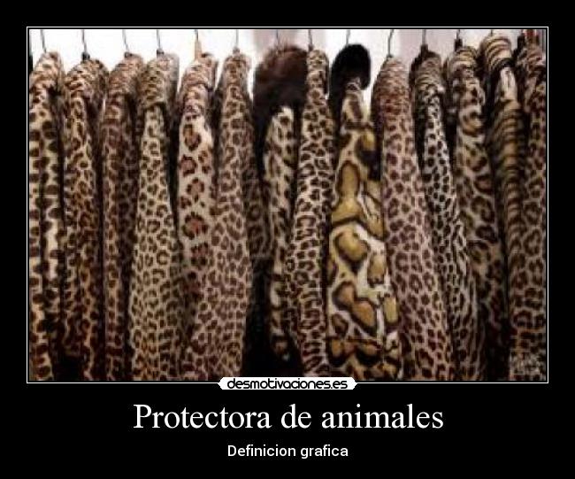 Protectora de animales -