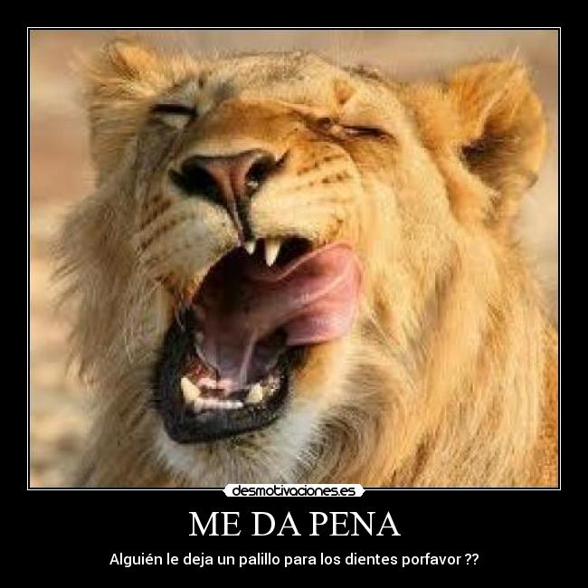 ME DA PENA - Alguién le deja un palillo para los dientes porfavor ??
