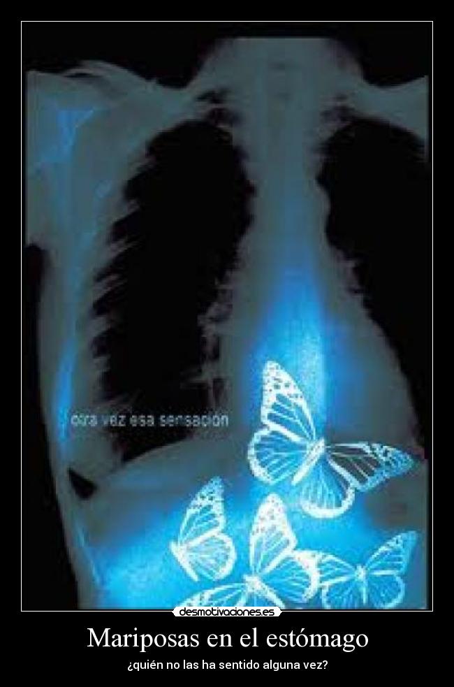 carteles mariposas estomago desmotivaciones