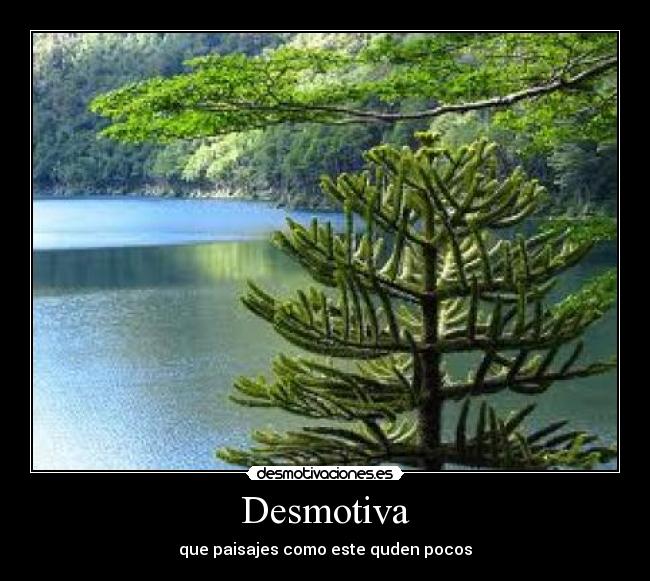 Desmotiva - 