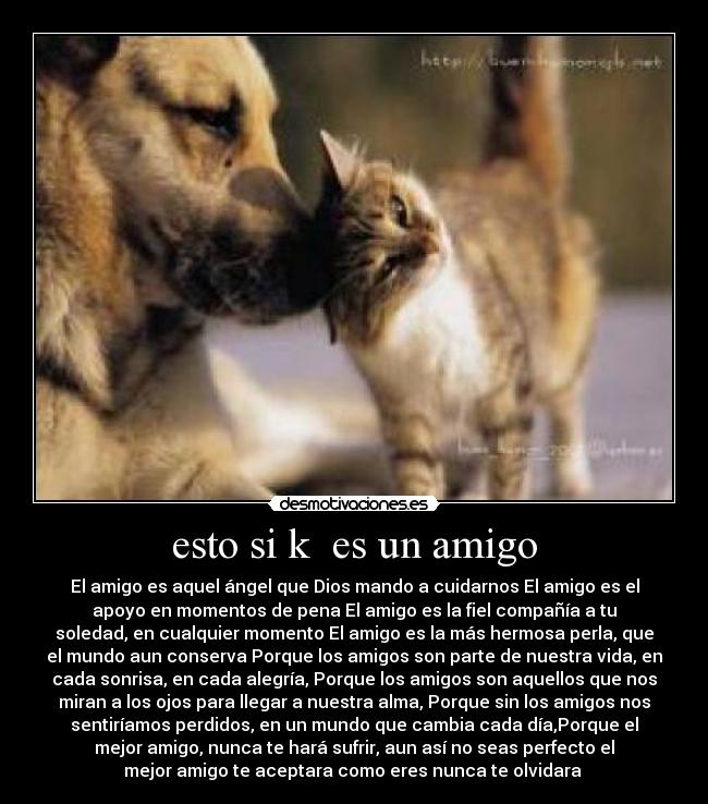 esto si k es un amigo - El amigo es aquel ángel que Dios mando a cuidarnos El amigo es el
apoyo en momentos de pena El amigo es la fiel compañía a tu
soledad, en cualquier momento El amigo es la más hermosa perla, que
el mundo aun conserva Porque los amigos son parte de nuestra vida, en
cada sonrisa, en cada alegría, Porque los amigos son aquellos que nos
miran a los ojos para llegar a nuestra alma, Porque sin los amigos nos
sentiríamos perdidos, en un mundo que cambia cada día,Porque el
mejor amigo, nunca te hará sufrir, aun así no seas perfecto el
mejor amigo te aceptara como eres nunca te olvidara