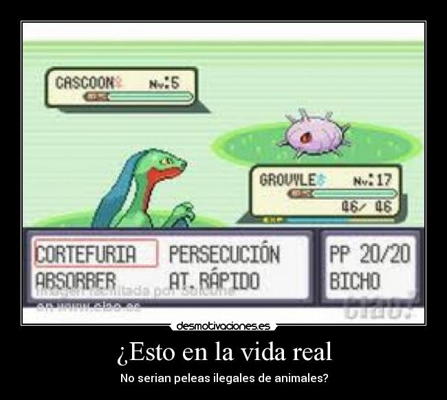 ¿Esto en la vida real -