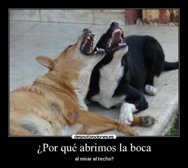 ¿Por qué abrimos la boca - al mirar al techo?