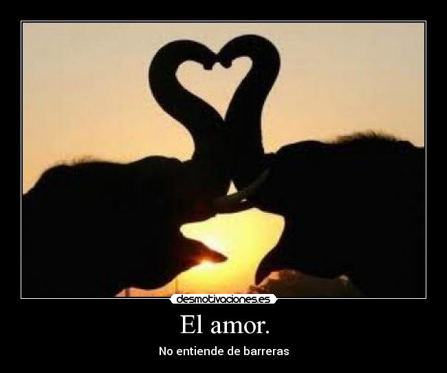 El amor. - No entiende de barreras