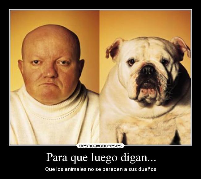 Para que luego digan... -