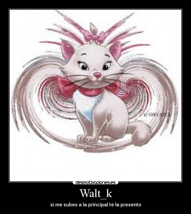 Walt_k - si me subes a la principal te la presento
