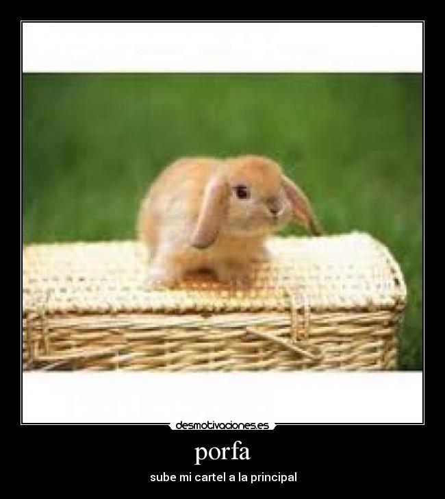 porfa - sube mi cartel a la principal