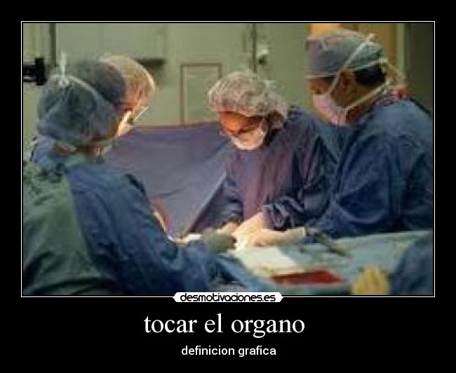 tocar el organo -