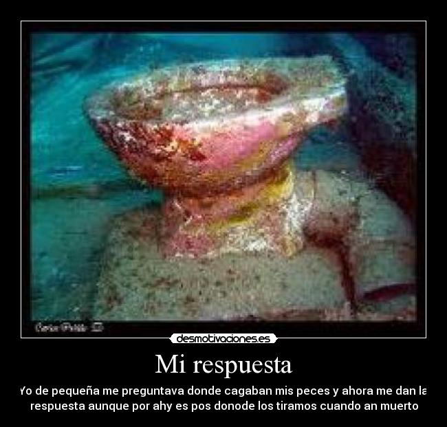 Mi respuesta - Yo de pequeña me preguntava donde cagaban mis peces y ahora me dan la
respuesta aunque por ahy es pos donode los tiramos cuando an muerto