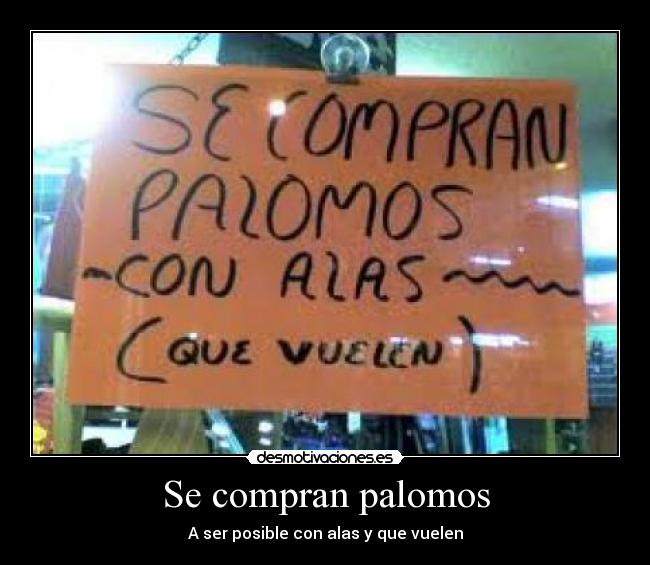 Se compran palomos - A ser posible con alas y que vuelen