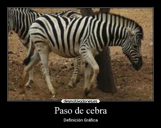 Paso de cebra -