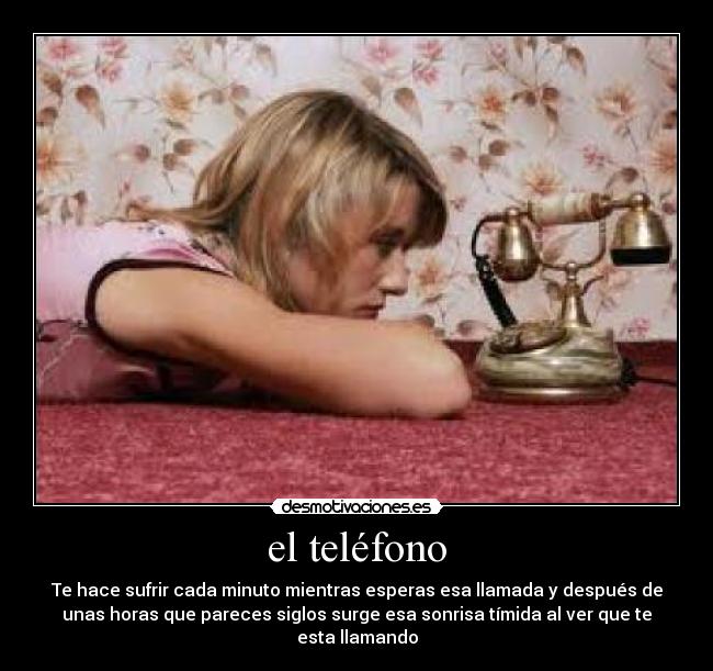 carteles lauriita desmotivaciones