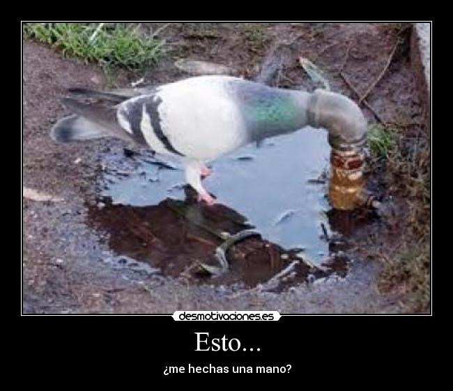 Esto... - 