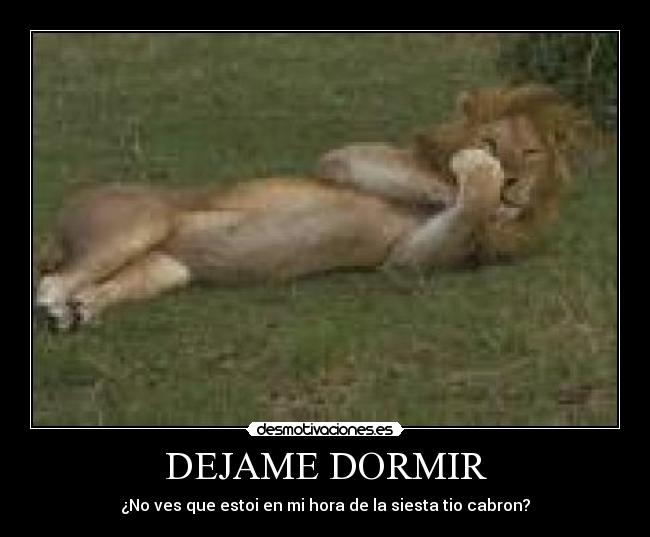 DEJAME DORMIR -