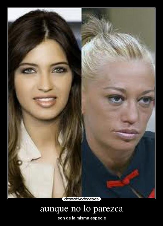 aunque no lo parezca - son de la misma especie