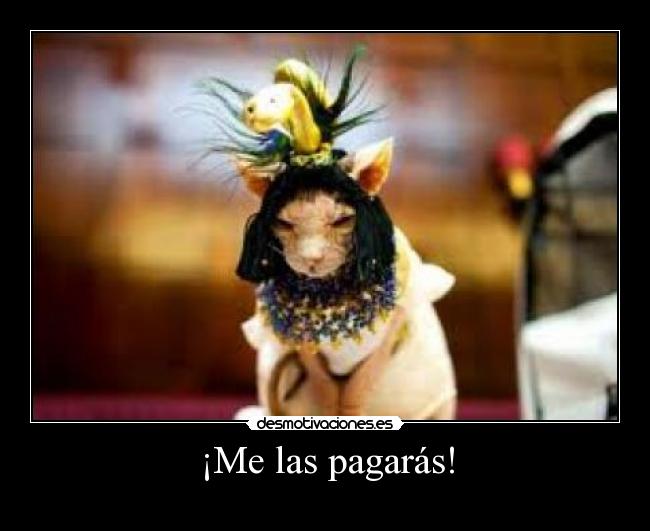 ¡Me las pagarás! - 