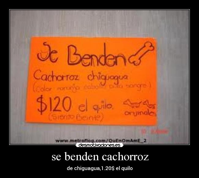 se benden cachorroz - de chiguagua,1.20$ el quilo