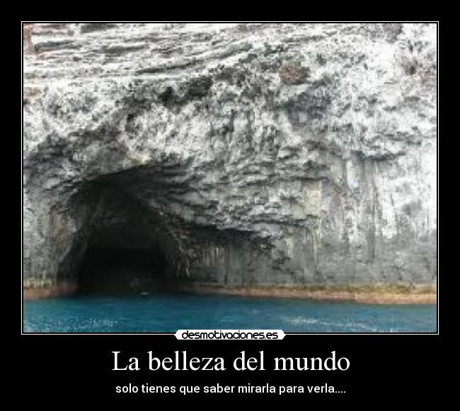 La belleza del mundo - solo tienes que saber mirarla para verla....