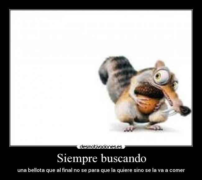 Siempre buscando -