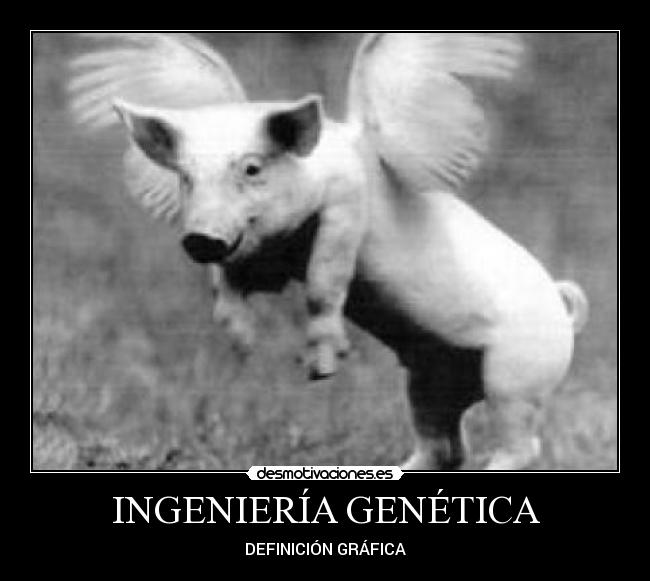 INGENIERÍA GENÉTICA - DEFINICIÓN GRÁFICA