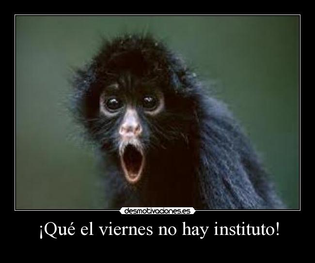 ¡Qué el viernes no hay instituto! - 