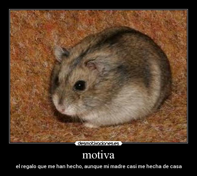 motiva - 