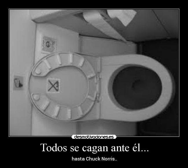 Todos se cagan ante él... -