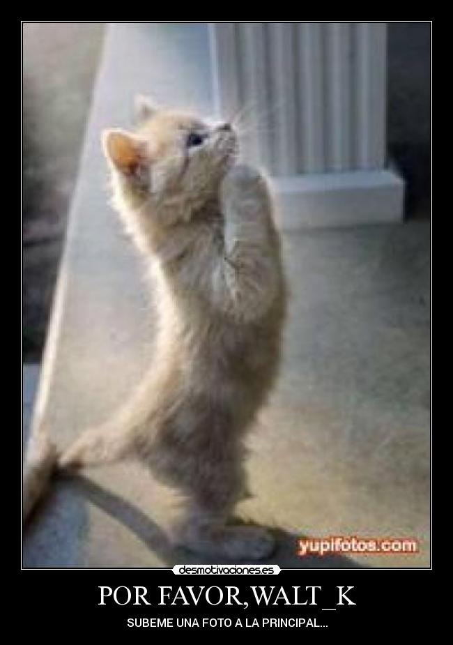 POR FAVOR,WALT_K - SUBEME UNA FOTO A LA PRINCIPAL...
