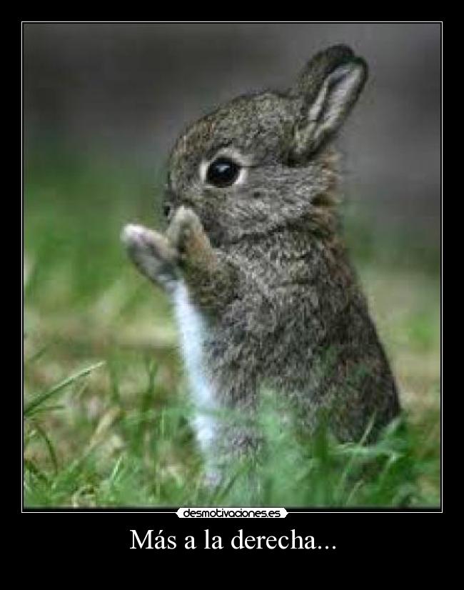 Más a la derecha... -