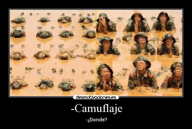 -Camuflaje - -¿Donde?