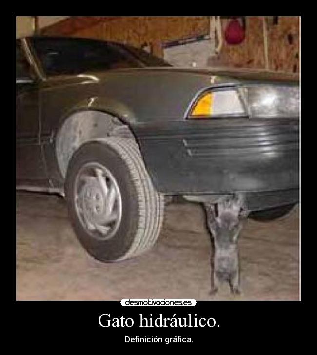 Gato hidráulico. - Definición gráfica.