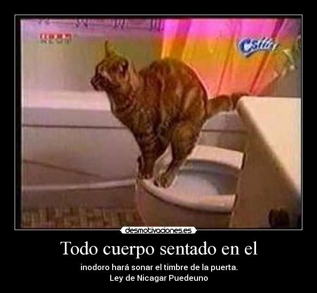 Todo cuerpo sentado en el - inodoro hará sonar el timbre de la puerta.
Ley de Nicagar Puedeuno