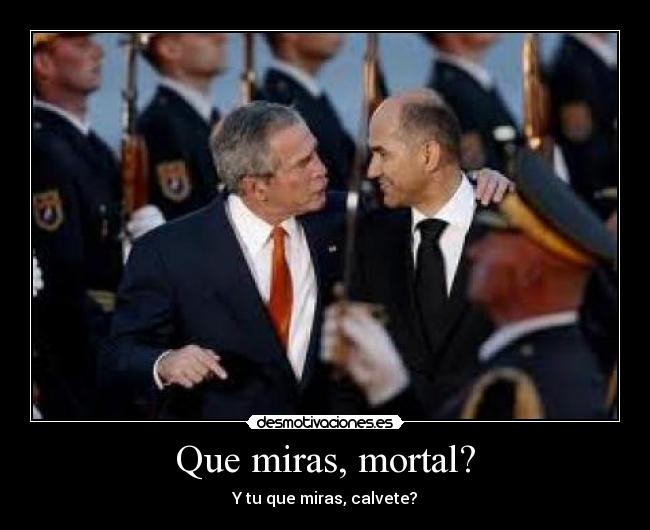 Que miras, mortal? - Y tu que miras, calvete?