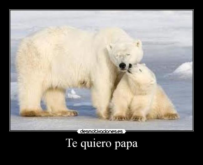 Te quiero papa -
