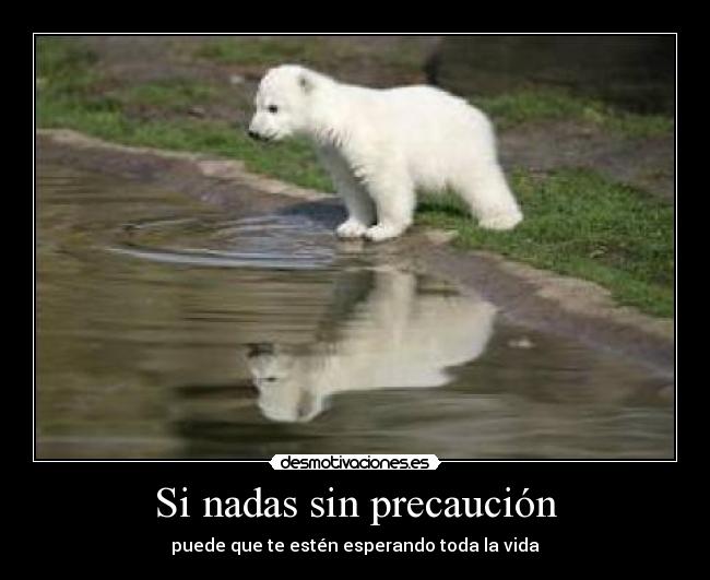 Si nadas sin precaución -