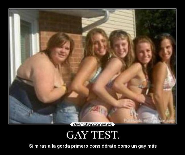 GAY TEST. - Si miras a la gorda primero considérate como un gay más