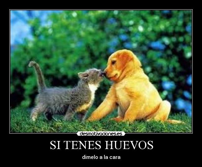 carteles dimelo cara desmotivaciones