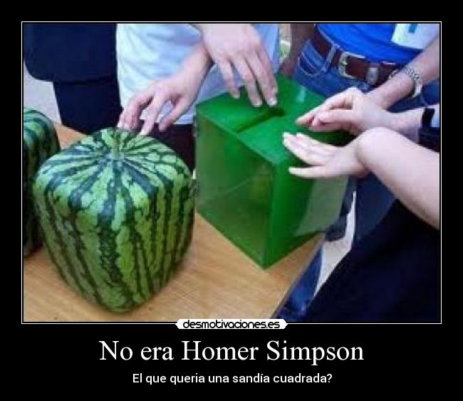 No era Homer Simpson -