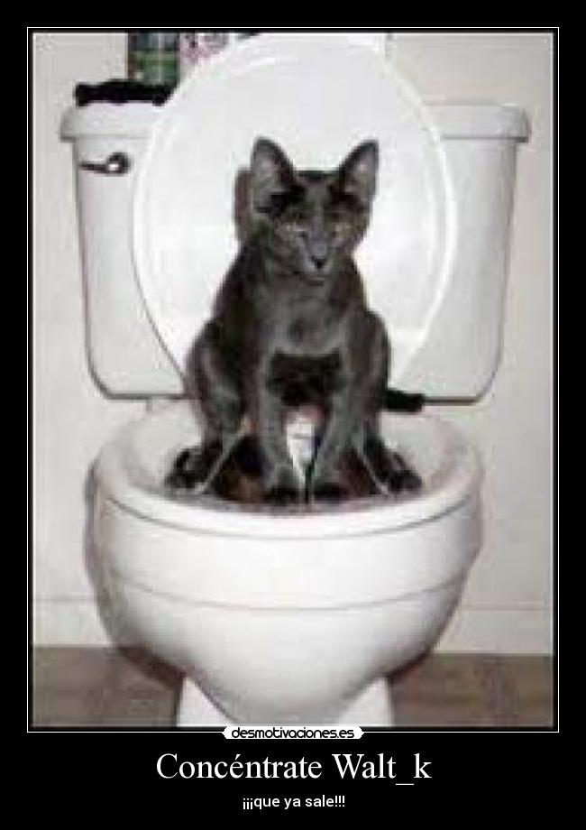 Concéntrate Walt_k - 