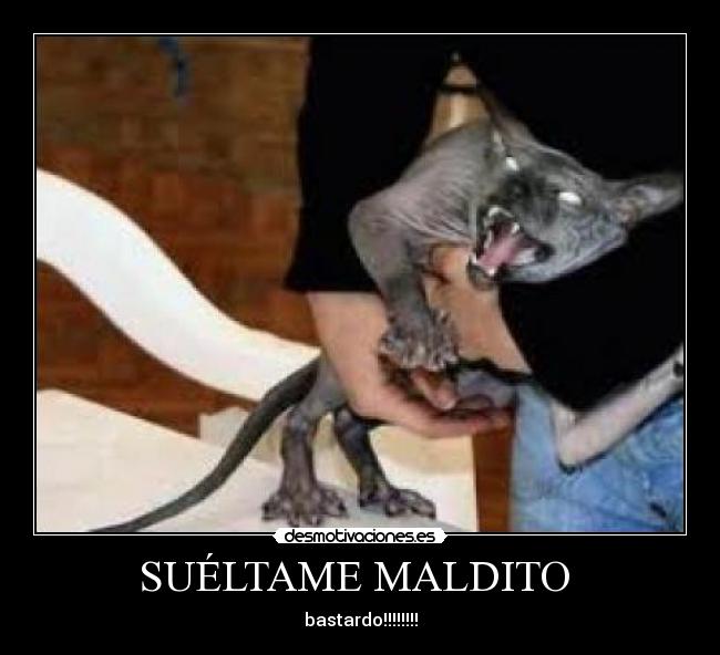 SUÉLTAME MALDITO - bastardo!!!!!!!!