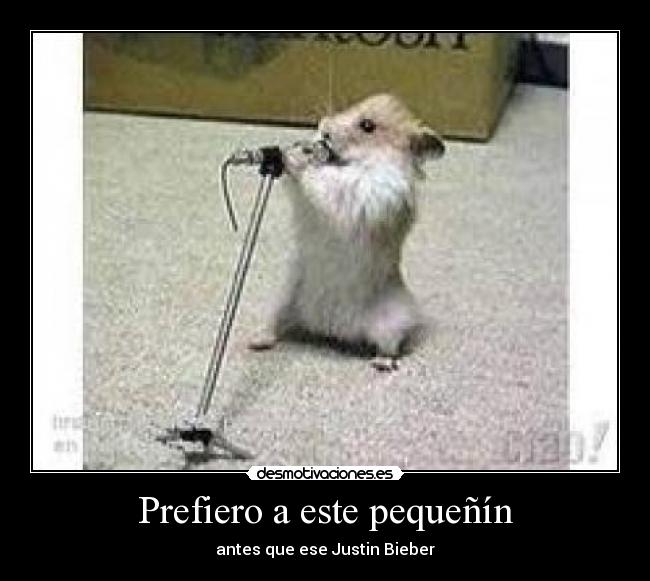 Prefiero a este pequeñín - antes que ese Justin Bieber