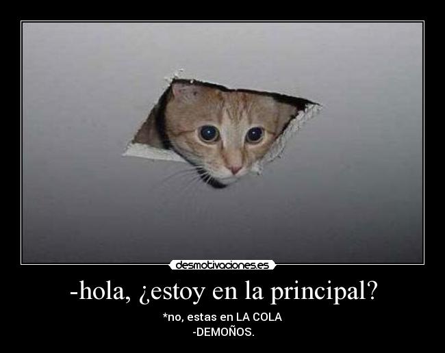 -hola, ¿estoy en la principal? -
