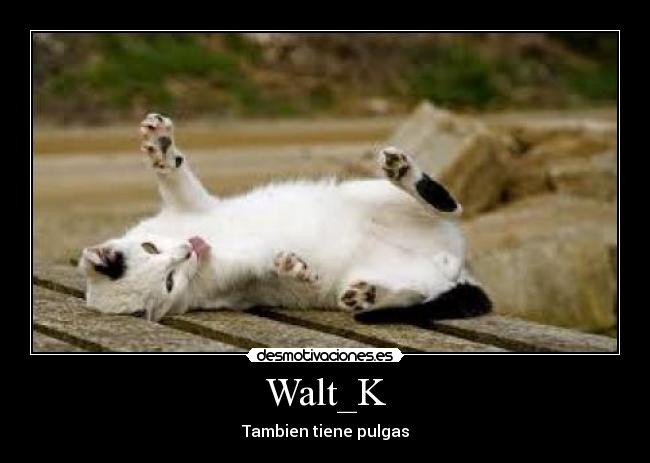 Walt_K -