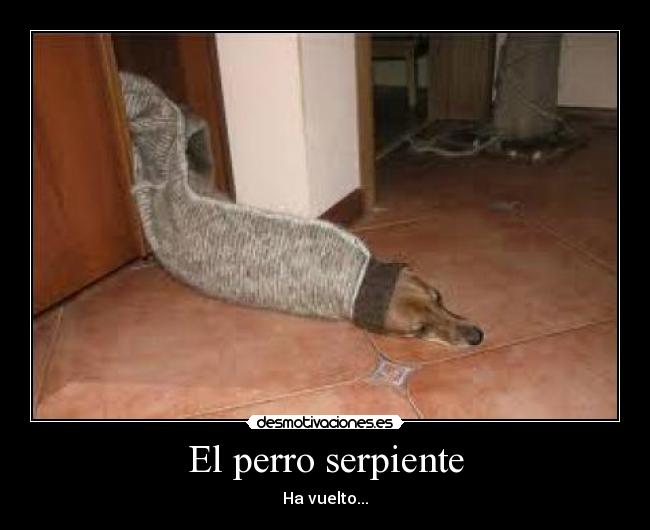 El perro serpiente -
