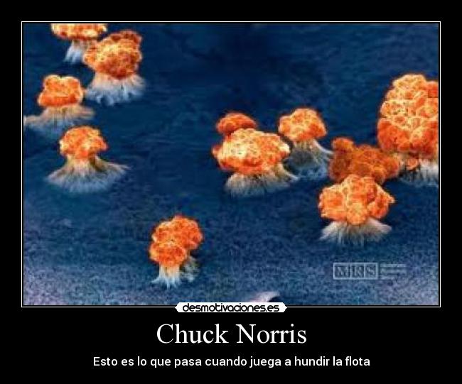 carteles hinesu desmotivaciones